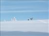 SWZ_Winter 2006 2 176
